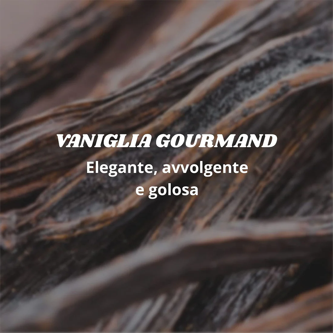 Immagine prodotto 3