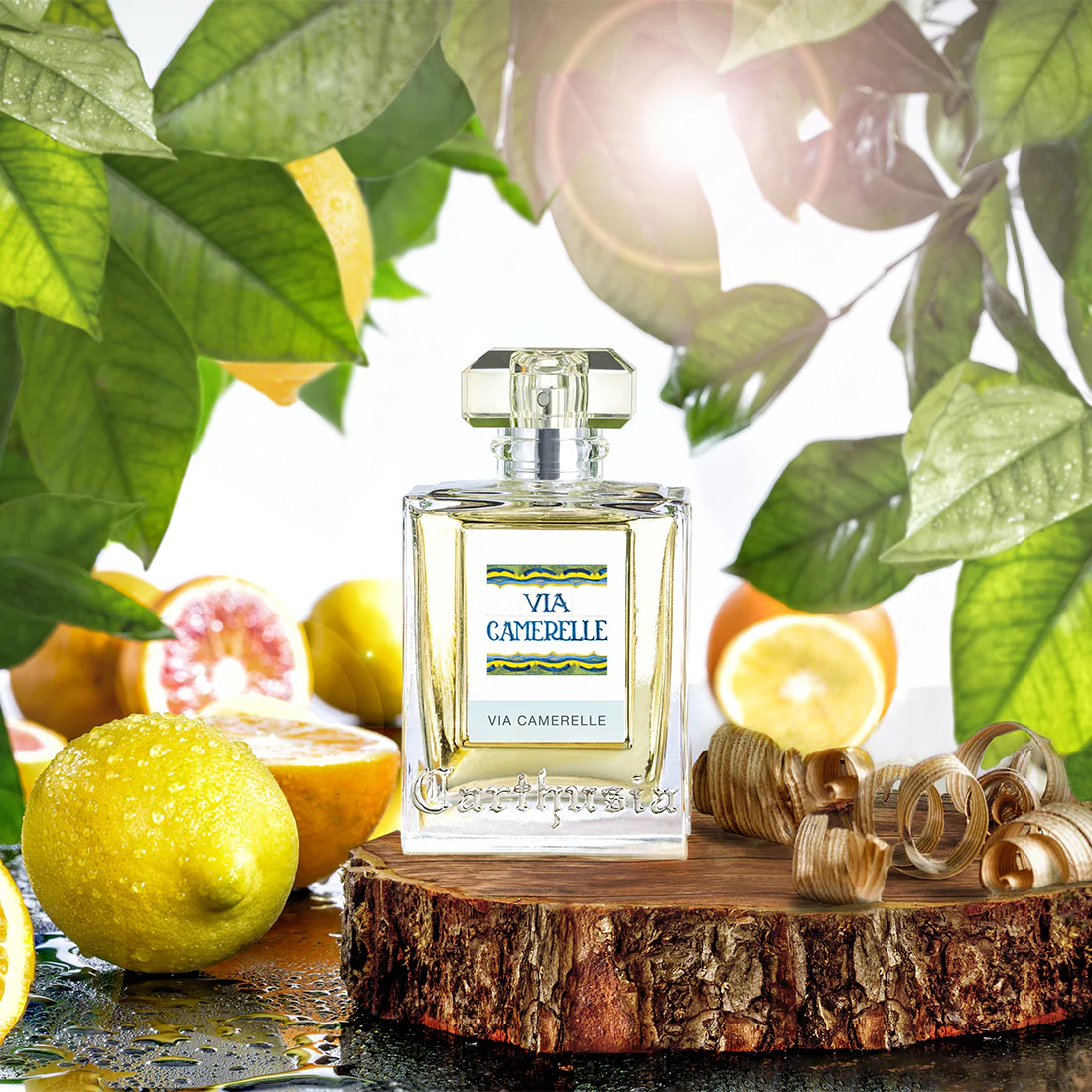 Immagine prodotto 7