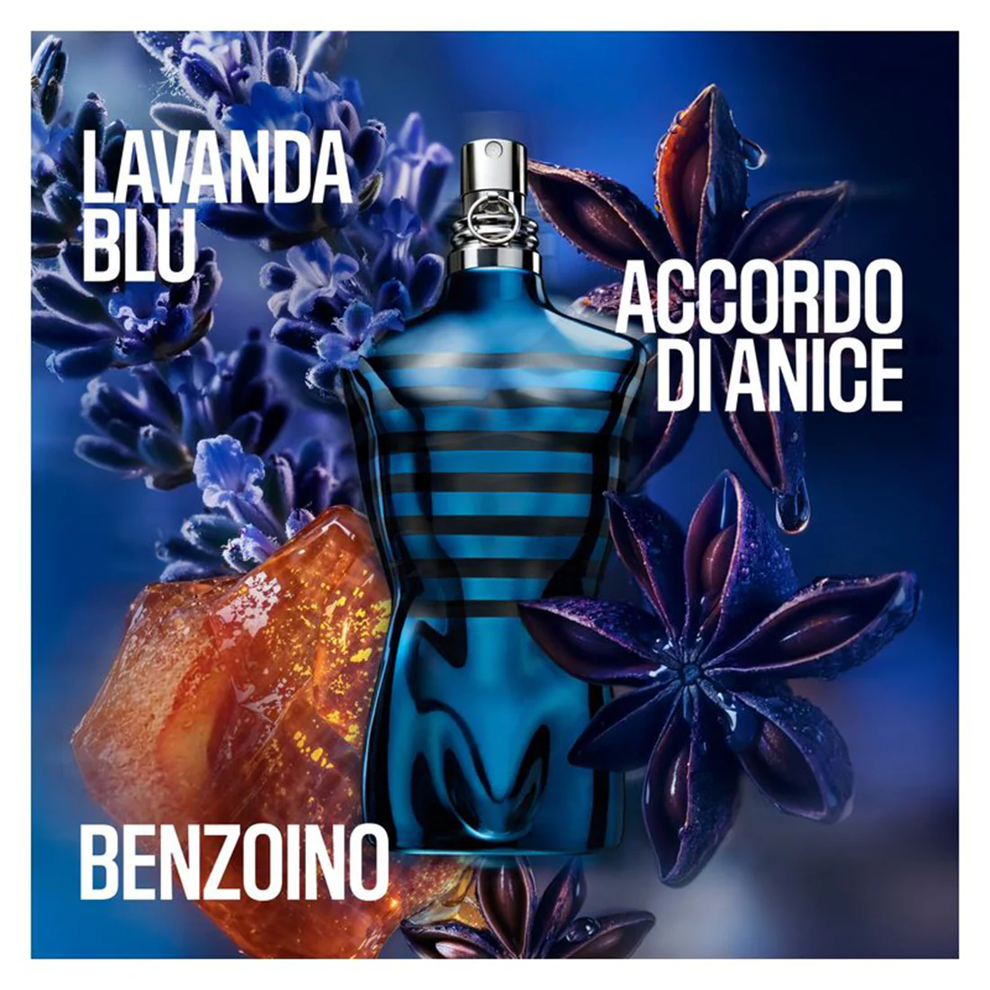Immagine prodotto 3