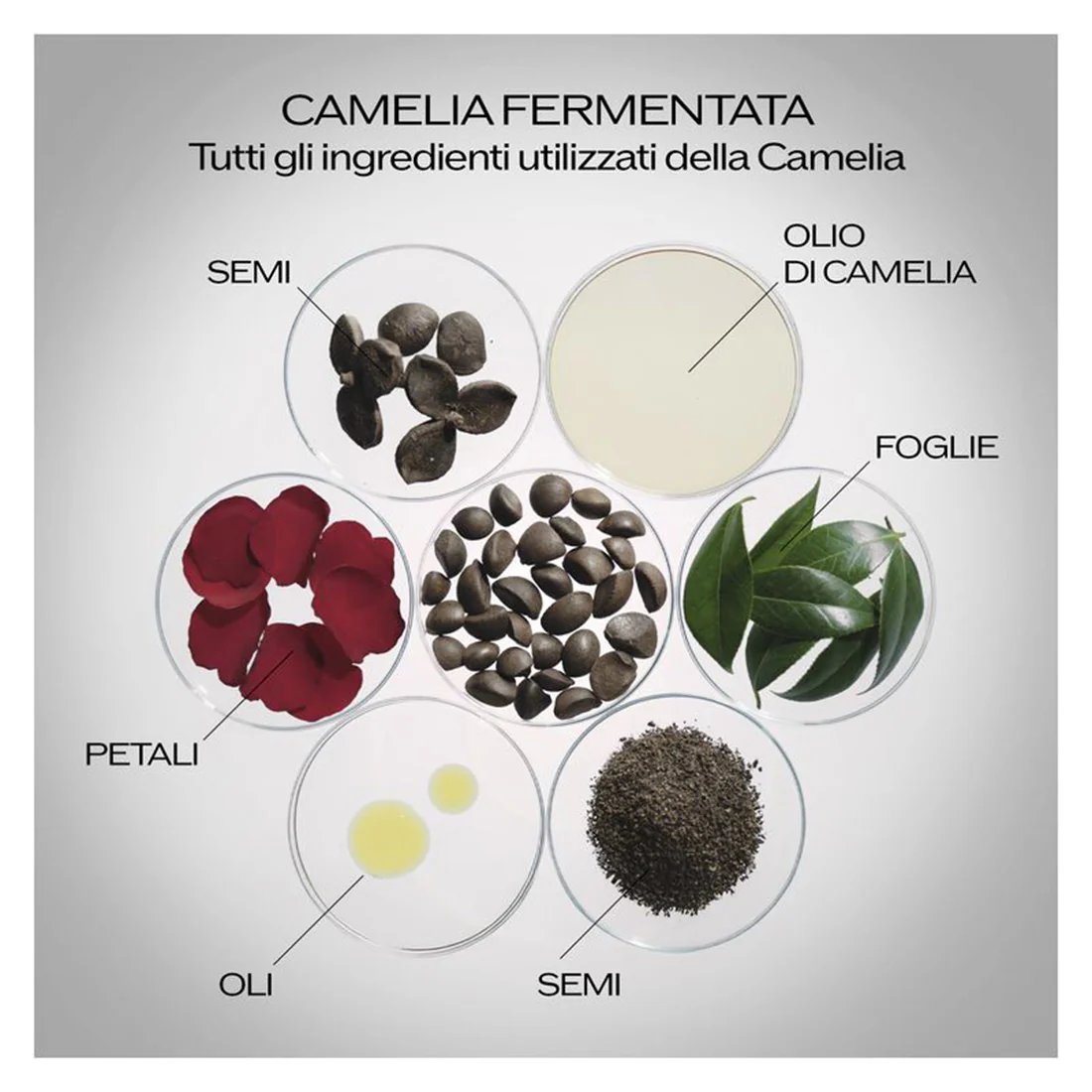 Immagine prodotto 32